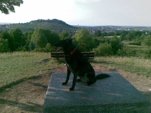 med_Auf dem Klein-Aspergle.jpg (600 x 450)